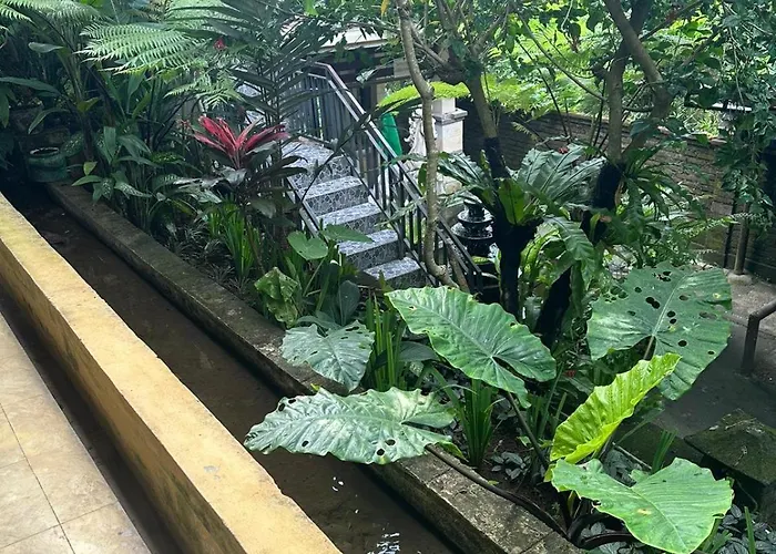 85m2 App With Kitchen Damai Garden Pool Wifi Airco アパート ウブド